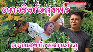 ดกจริงถั่วลุงพร เผยเคล็ดลับดูแลสวนกำภู#บ้านสวนกำภูEp1190