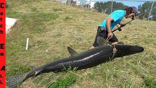 CATCHING a WHALE in MUDDY Freshwater Canal!