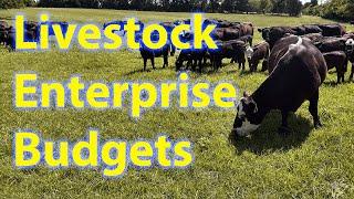 Enterprise Budgets for Livestock