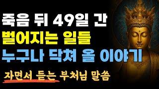 부처님 말씀, 죽음 후 49일간 벌어지는 일들, 누구든지 닥쳐올 이야기입니다ㅣ석가모니 가르침ㅣ불교 명언