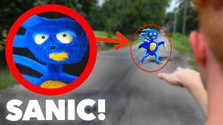 I FOUND SANIC IN REAL LIFE!