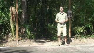 JaxParks TV Episode #1 - Kathryn Abbey Hanna Park