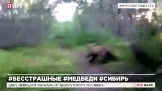 Охотник бросился на медведей с голыми руками