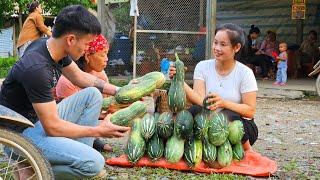 Harvesting pumpkins on the farm l Lý Thị Sai