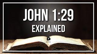 JOHN 1:29 Explained - What Does The Bible Verse JOHN 1:29 [KJV] REALLY Mean?