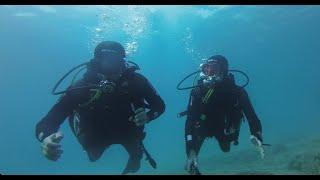 23 08 4K Bikini Dive Dani Discovery Dive