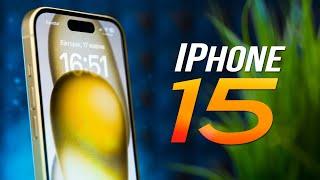 iPhone 15 у РЕАЛЬНОМУ ЖИТТІ: огляд та ДОСВІД ВИКОРИСТАННЯ