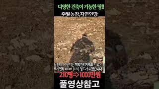 해발 320m 도로2차선 접한 다양한 건축이 가능한 계획관리지역의 땅 그러나................. (주말농장, 소액투자)Korea Real Estate