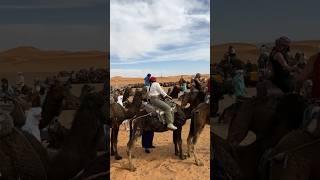 POV you’re on a camel in Africa