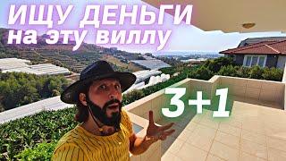 ВЗГЛЯНИ на эту ВИЛЛУ с частным бассейном | вилла в Алании |  Недвижимость в Турции | недорогая вилла