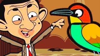 Rare Bird! | Mr Bean | Cartoons for Kids | WildBrain Kids