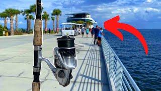 Fishing the NEW ST.PETE PIER (Variety of Fish)