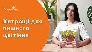 БЕГОНІЯ. Як вирощувати в домашніх умовах.