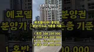 에코델타시티 분양권 _분양가격비교_#부산강서구부동산_명지부동산