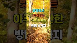 불행에서 벗어나는 아주 간단한 방법 4가지  #명언 #좋은글 #인생조언