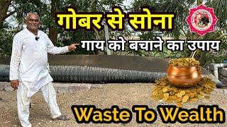 Cow Dung is Gold Mine  गाय बचाने का यही उपाय है। || Ramesh Bhai Rupareliya ||