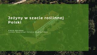 Klimat na bioróżnorodność - dr Piotr Kosiński