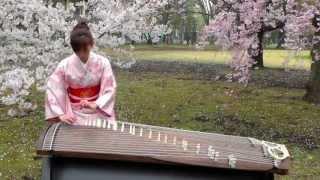 さくら(Sakura)　25絃箏 (25 strings koto)