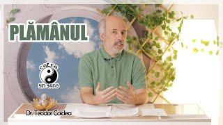 Plămânul - Dr.Teodor Coldea - Calea Yin Yang