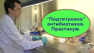 Антибиотики: определение чувствительности. Основные сведения