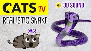 CATS TV - Catch Realistic Snake  - 3 HOURS (Video Game for Cats to Watch)