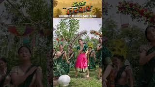 Teej Song 2081 ֍ CHHADKE TARWAR ֍ Manish Shrestha & Shanti Shree Pariyar ֍ Ft. Alyssa ֍ Aastha ֍ Ark