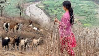 Unseen Beautiful Mountain Villages Simple Life style in Eastern Nepal | Stunning Nepal | BijayaLimbu