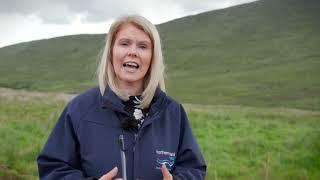 Northern Ireland Water Tree Planting at Fofanny - Sara Venning