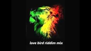 Love Bird Riddim Mix ( IRIEVIBRATIONS RECORDS )  November 2012 Megamix One Riddim Riddim Mix