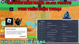 Hướng dẫn hack blox fruits vng trên điện thoại cho người mới - Delta X VNG fix update 100% mới nhất