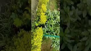 nature #travelblog #vlog #travelvideo #only #sdk #travelvlog