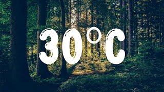 ANNA - 30ºC (Testo/Lyrics)