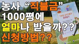 농사 직불금 얼마나 나올까? 신청하는 방법은? 벼 직불금 신청 농산물품질관리원