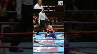 The Power of the Punch: Santos' Epic Knockout of Acosta!  #shorts #boxing