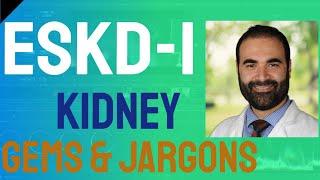 Kidney Gems & Jargons - ESKD_1