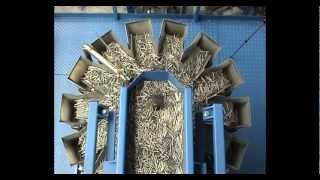 Weighpack Packaging Solutions - Automatic nails random  packing into plastic bags.