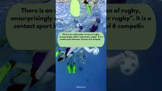 Do you know Underwater Rugby.. || fact buzz || #facts