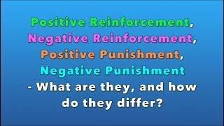 Positive/Negative Reinforcement and Positive/Negative Punishment - What are they?