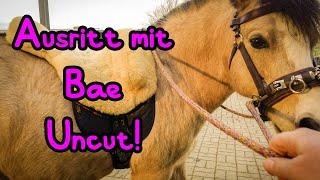 Ausritt mit Bae  Für euch wieder Uncut!