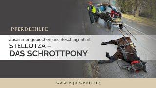 Zusammengebrochen und Beschlagnahmt – Stellutza, das Schrottpony