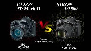 canon 5d mark II vs nikon d7500 | Review