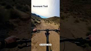 Hardtail MTB Quick as an Arrow down Fun Desert Jump Line #mtb #haro #hardtail #dji #shorts