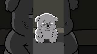 말티즈가 삥 뜯는 방법