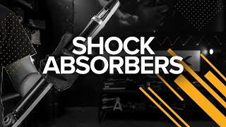 Shock absorbers | RIDEX