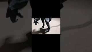 종이 한 장으로 만든 공룡, 데이노니쿠스