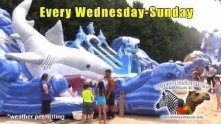 Summer Fun for the Family at White Post Farms!