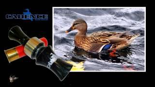 Cadence Calls - "The Closer" Duck Call