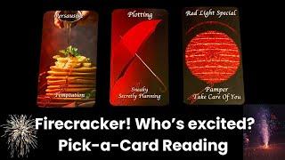 Firecracker! Who's excited about you?/Pick-a-Card Reading