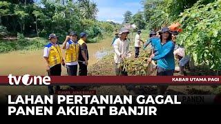 60 Hektar Lahan Pertanian di Ciamis Gagal Panen | Kabar Utama Pagi tvOne