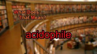 What does acidophile mean?